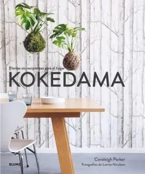 Ordenar Ahora Mismo KOKEDAMA. PLANTAS SIN RECIPIENTES PARA EL HOGAR