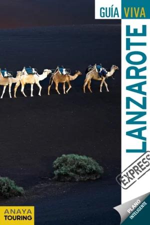 Lanzarote Favorito De Clientes