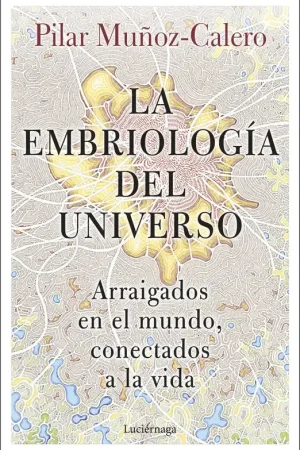 Precio Económico La embriología del universo