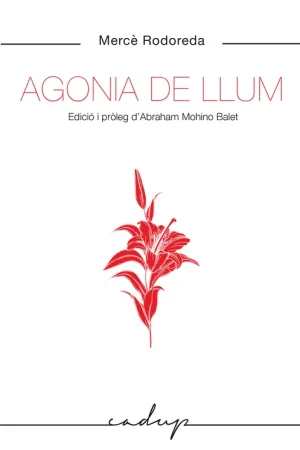 Barato Agonia de llum