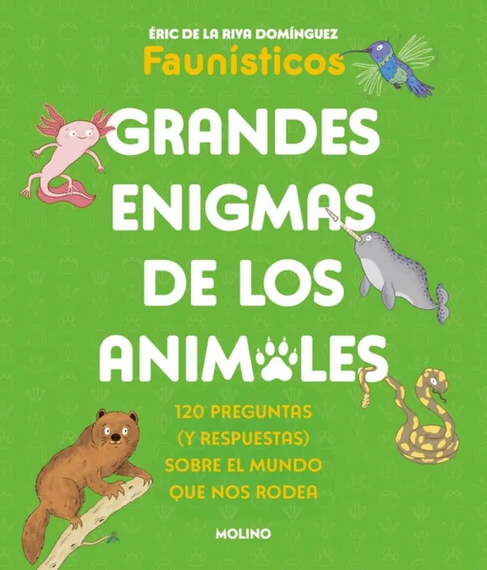 Flickity - asNavFor Más Vendido