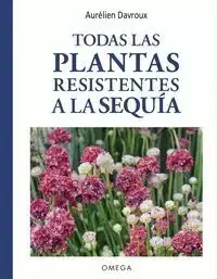 Stock Limitado Todas las Plantas Resistentes a la Sequía