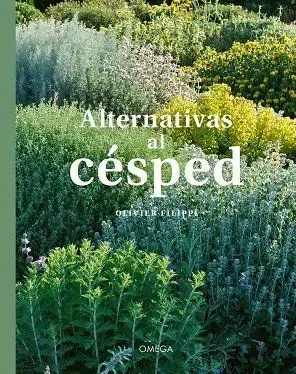 Descuento Alternativas Al Cesped