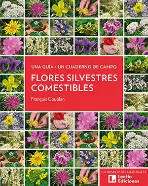 Alta Calidad Flores Silvestres Comestibles