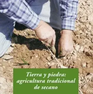 Tierra y Piedra Novedad