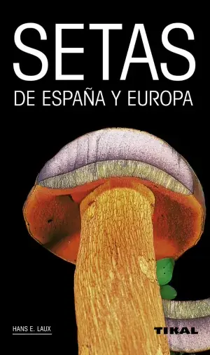 Novedad Setas de España y Europa
