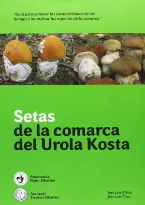 Solo Por Tiempo Limitado Setas de la Comarca del Urola Kosta