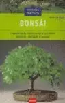 Bonsai Solo Por Tiempo Limitado