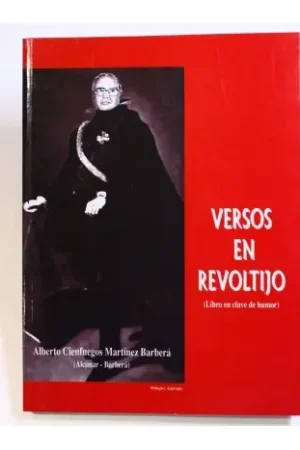 Ordenar Ahora Mismo Versos en revoltijo (libro en clave de humor)
