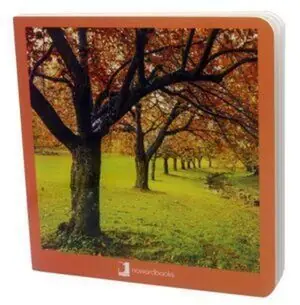Última Versión OTOÑO