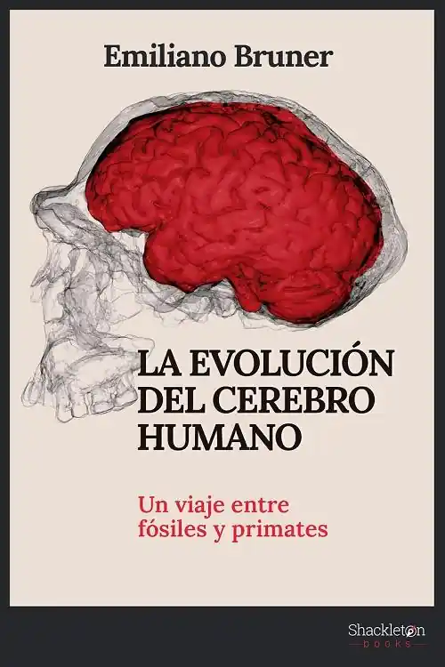 Oferta Limitada La evolución del cerebro humano "Un viaje entre fósiles y primates"