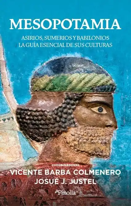 Mesopotamia "Asirios, sumerios y babilonios. La guía esencial de sus culturas" Directo De Fábrica
