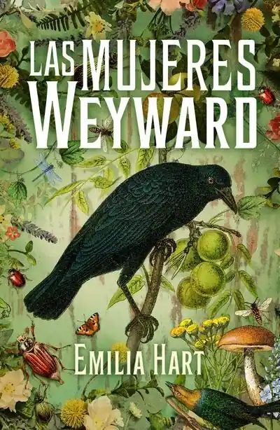 Las mujeres Weyward A Buen Precio