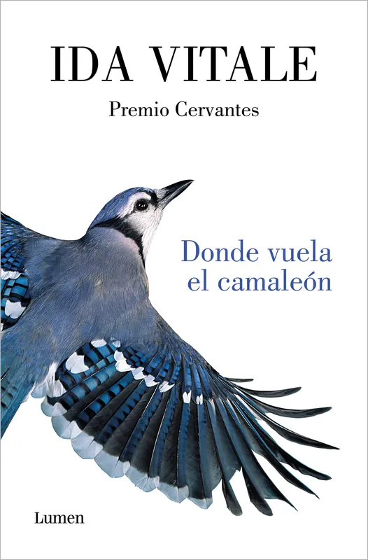 Donde vuela el camaleón Certificado