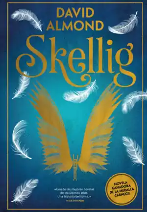 Pago Seguro SKELLIG