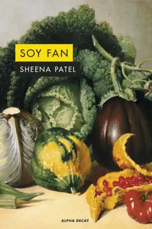Popular SOY FAN