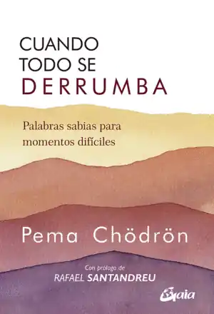Descuento CUANDO TODO SE DERRUMBA - PALABRAS SABIAS PARA MOM
