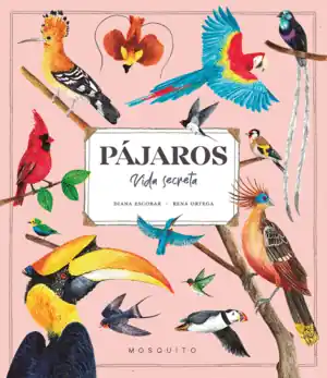Precio De Oferta PÁJAROS. VIDA SECRETA