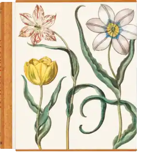 Promoción BESLER. THE GARDEN AT EICHSTÄTT FFE